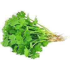 CILANTRO